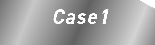 case1